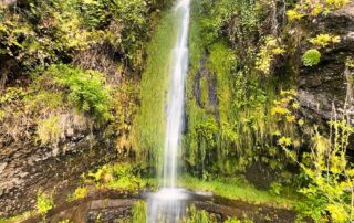 Vodopád a bujná vegetace podél levady Moinho a Nova, Madeira